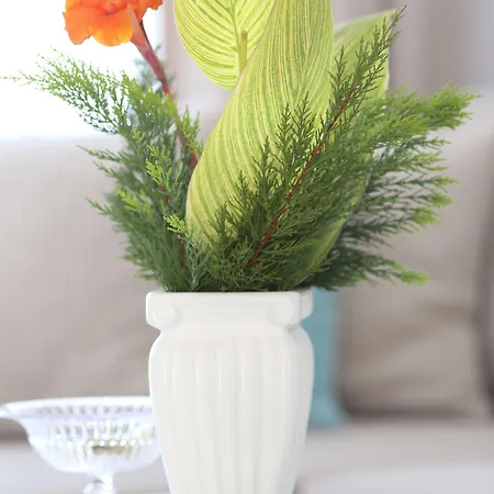 מלון דירות Truemar & קמר